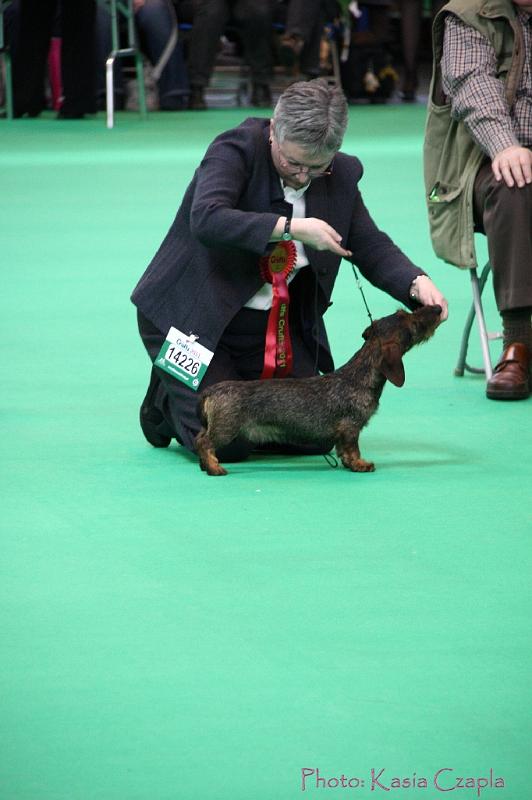 Crufts2011_2 939.jpg